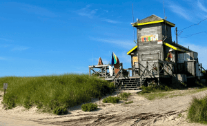 A weathered wooden lifeguard station with colorful umbrellas and surfboards sits atop a small sandy dune surrounded by green grasses. A clear blue sky contrasts with the bright accents on the lifeguard station, evoking the meticulous care of Rental Property Management East Hampton. Tire tracks are visible in the sand.