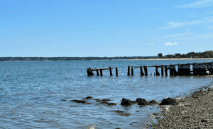 A scenic seaside view features a dilapidated wooden pier extending into calm blue waters. The shoreline is dotted with scattered rocks, and small waves gently lap against them. In the distance, luxurious homes managed by Property Management East Hampton blend seamlessly with the lush green landscape under a clear blue sky.